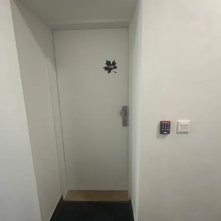 U Brouka Javorná Na šumavě