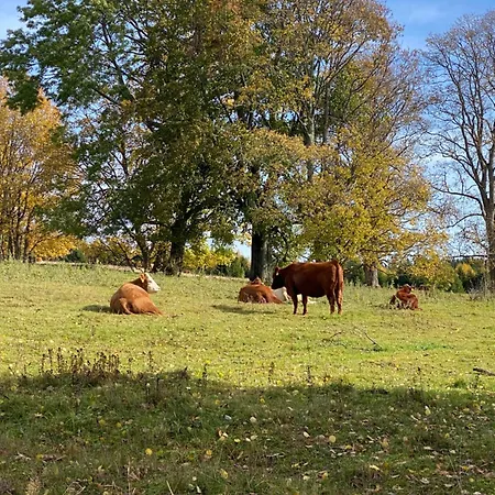 Appartamento U Brouka Javorná Na šumavě